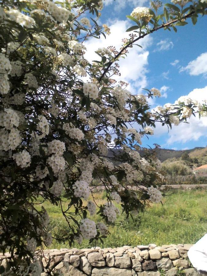 Tenuta Edone' Country House Graniti Екстериор снимка