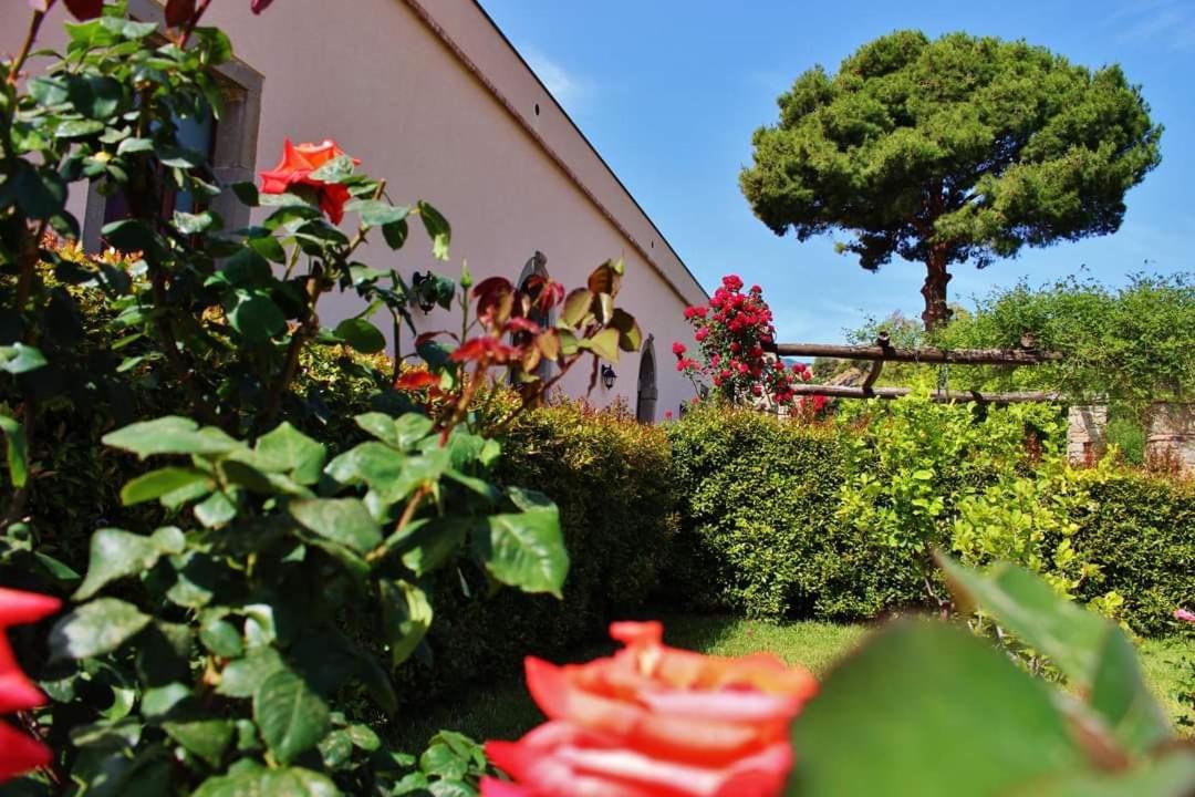 Tenuta Edone' Country House Graniti Екстериор снимка